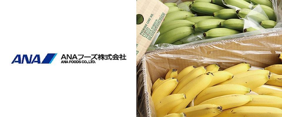 ANAフーズ株式会社(2026）