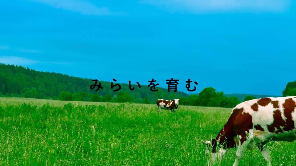 株式会社ラクト・ジャパン